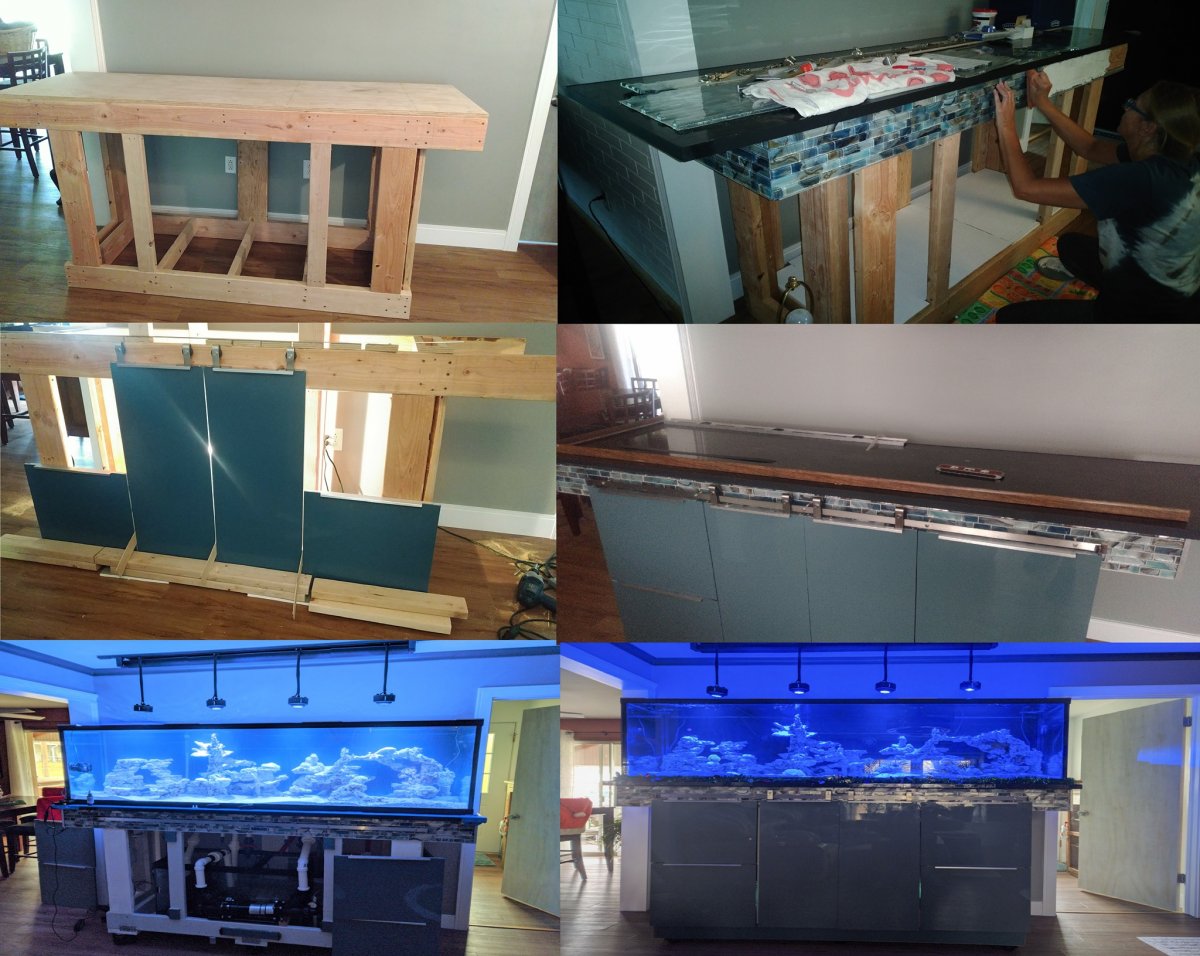 Setup 210.jpg