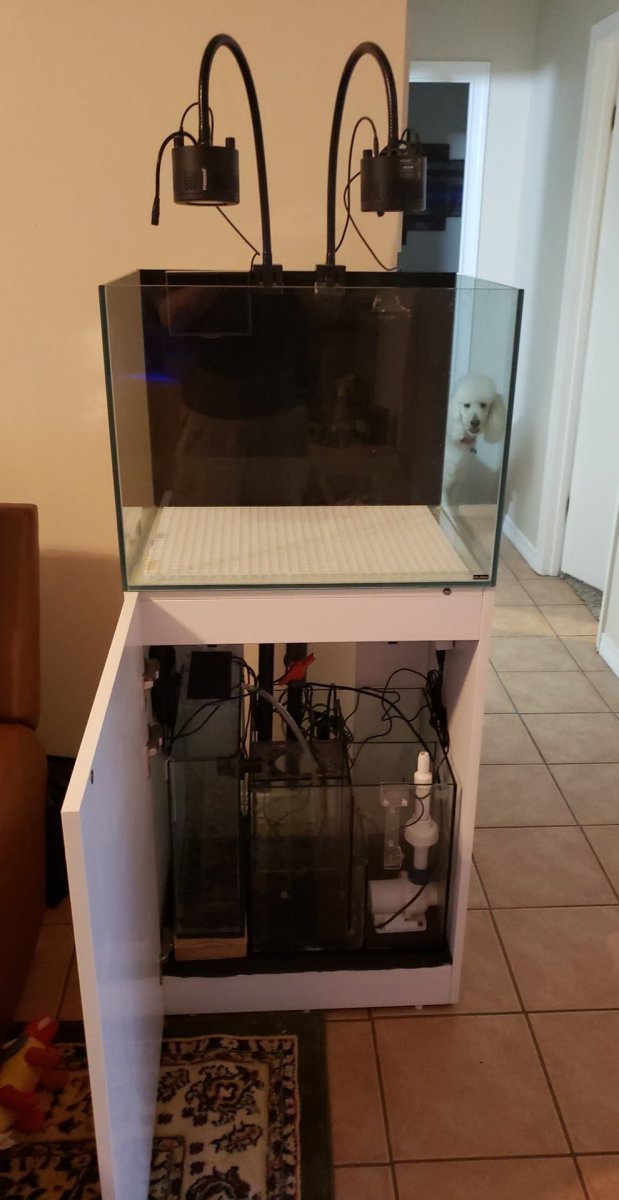 setup dry.jpg
