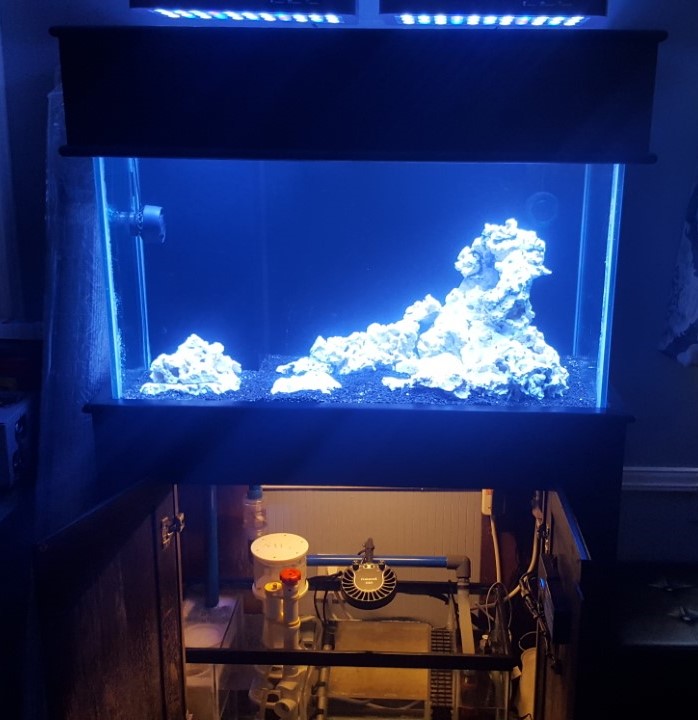 Setup.jpg