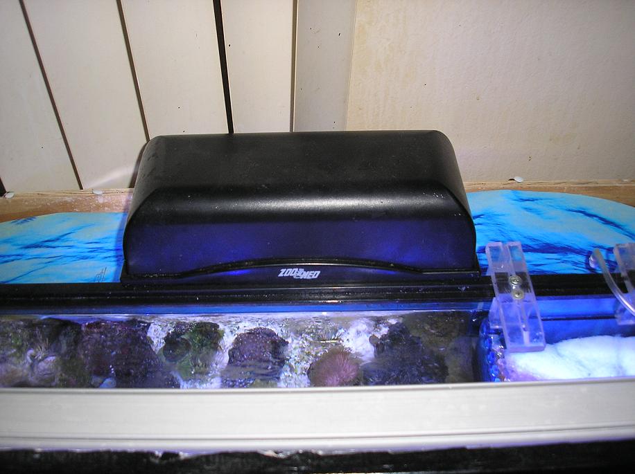 shadow box 005.jpg