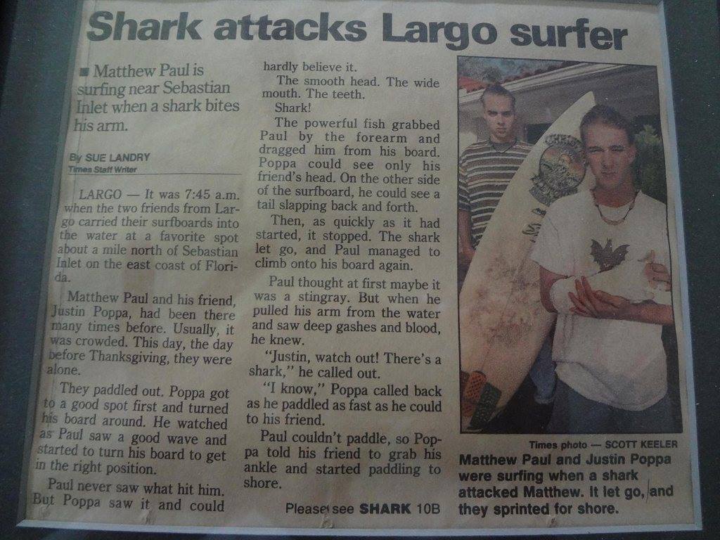 Shark Attack 1992.jpg
