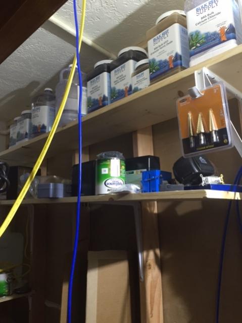 shelf.jpg