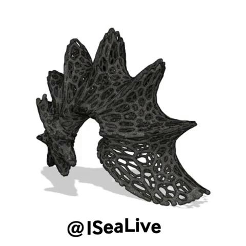 shell-gif-gif.1919858