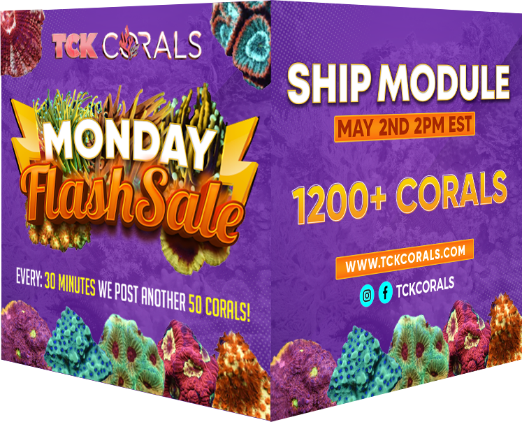 SHIP MODULE MONDAY SALE MAY (1).png
