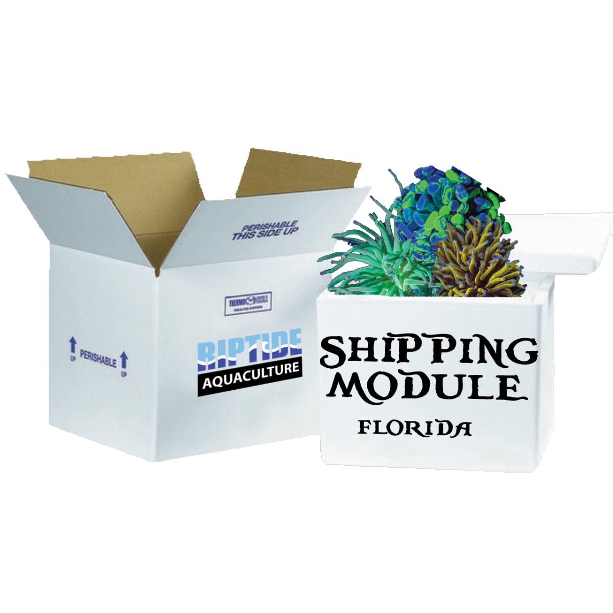 shipping box w-coral florida.png
