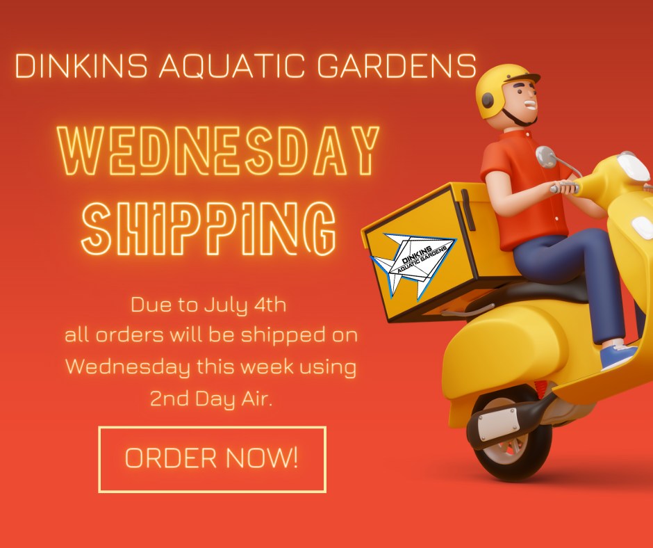 Shipping Wednesday This Week Due to July 4 Holiday | REEF2REEF ...