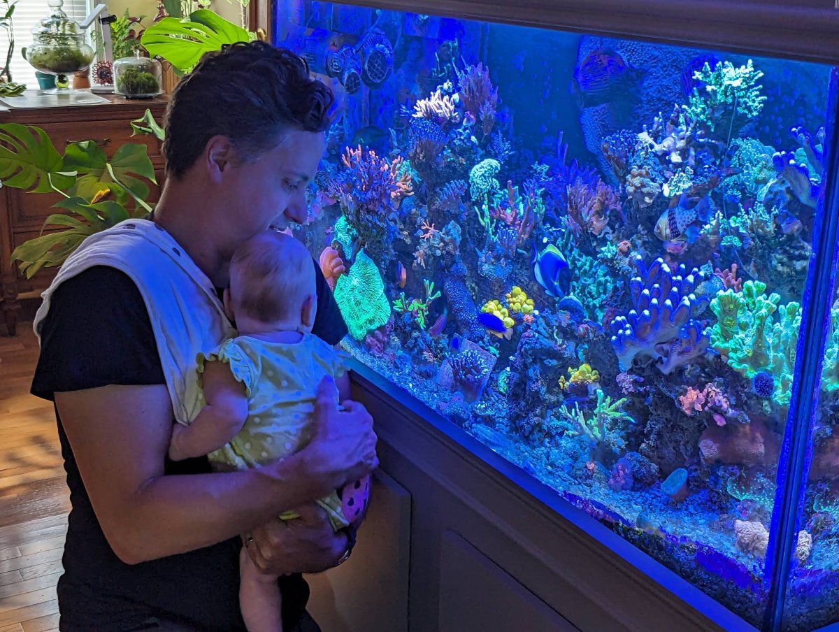 Showing Baby the Reef Tank.JPEG