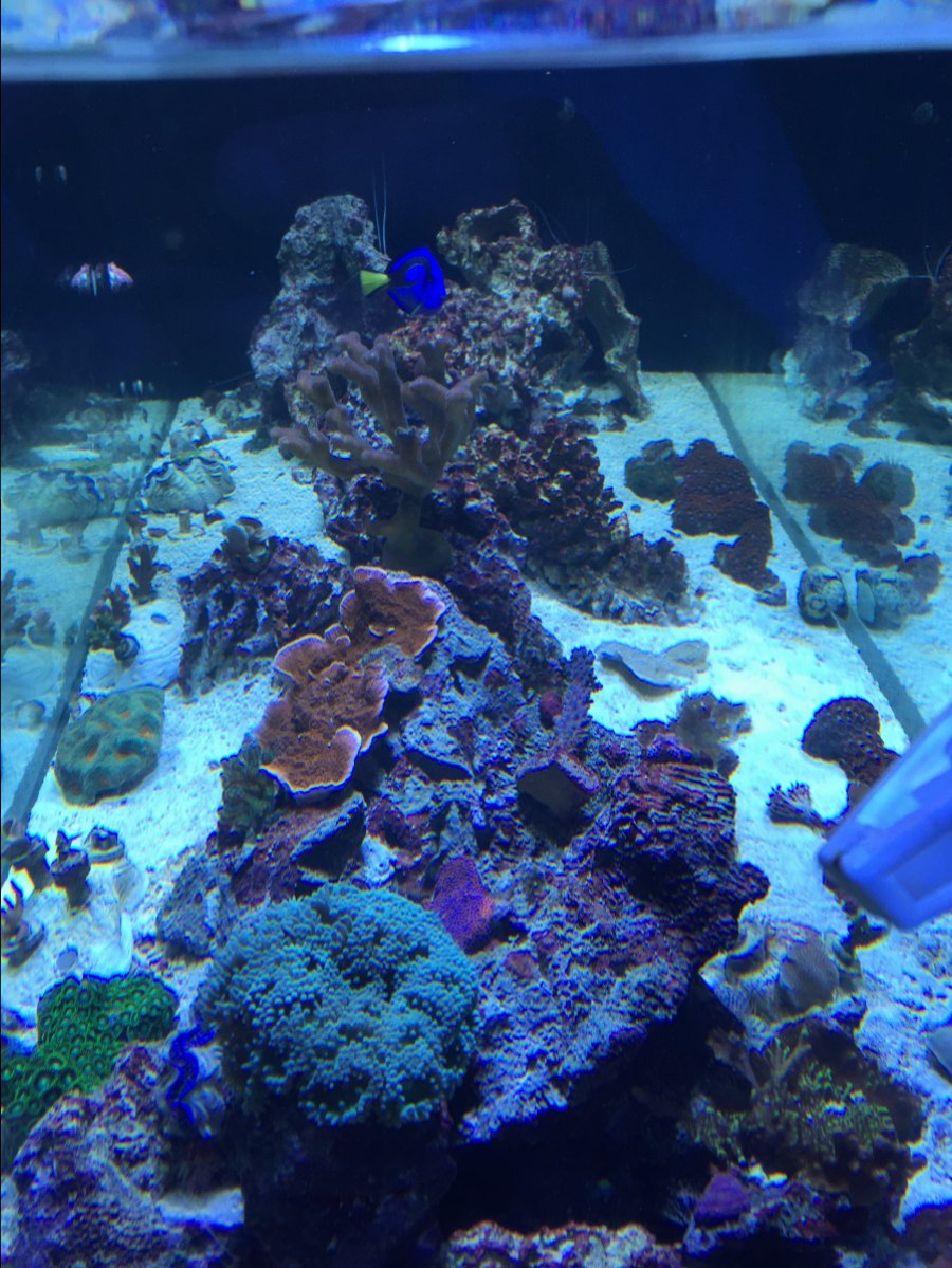 Side image 11032017.JPG
