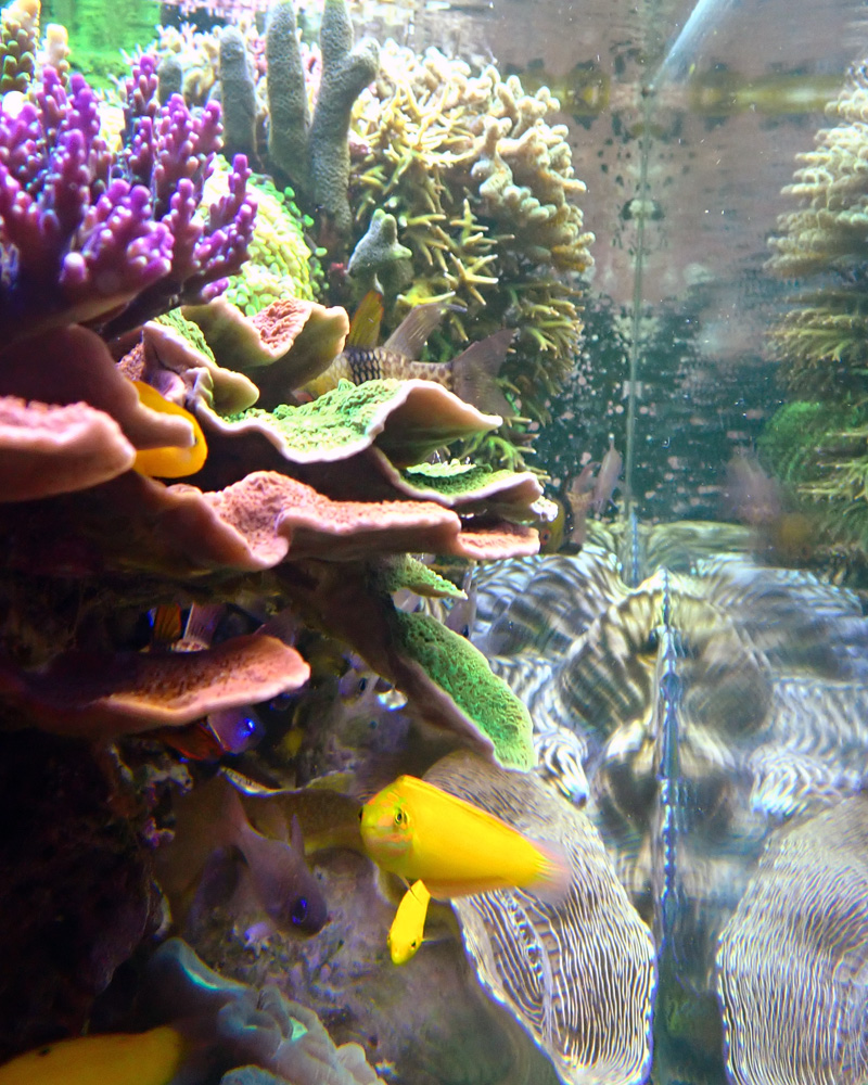 side-view.jpg