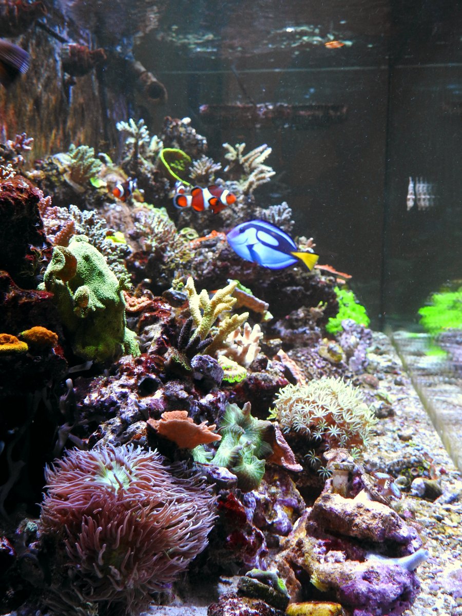Side view2.jpg