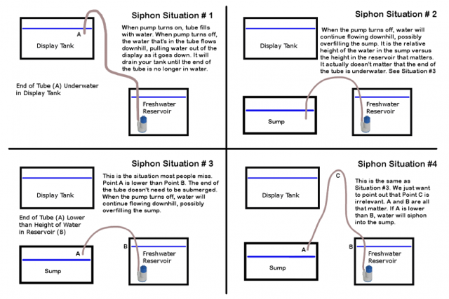 Siphon-Situations-688x459.png