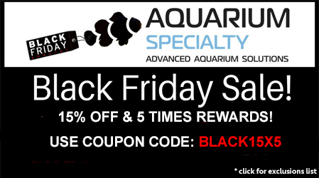 black friday aquarium