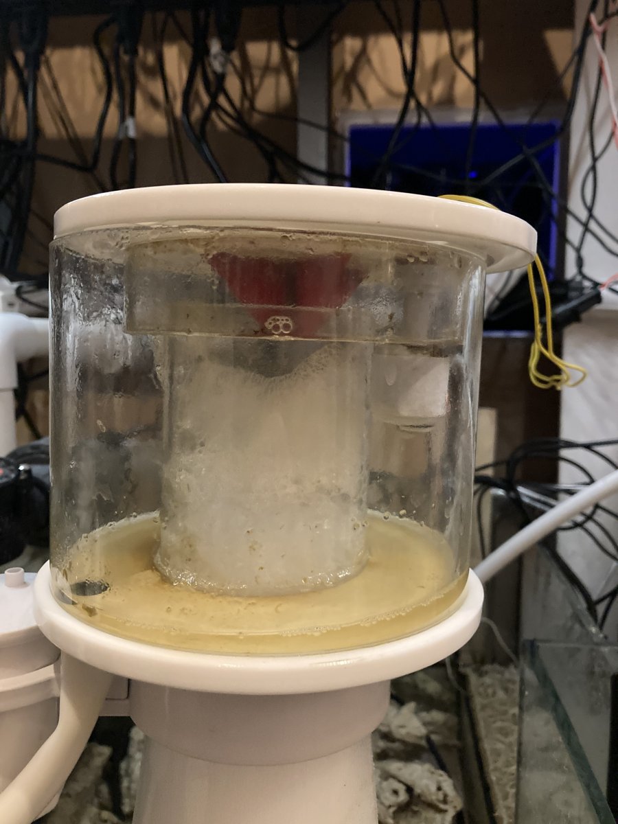Skimmer cup.jpg