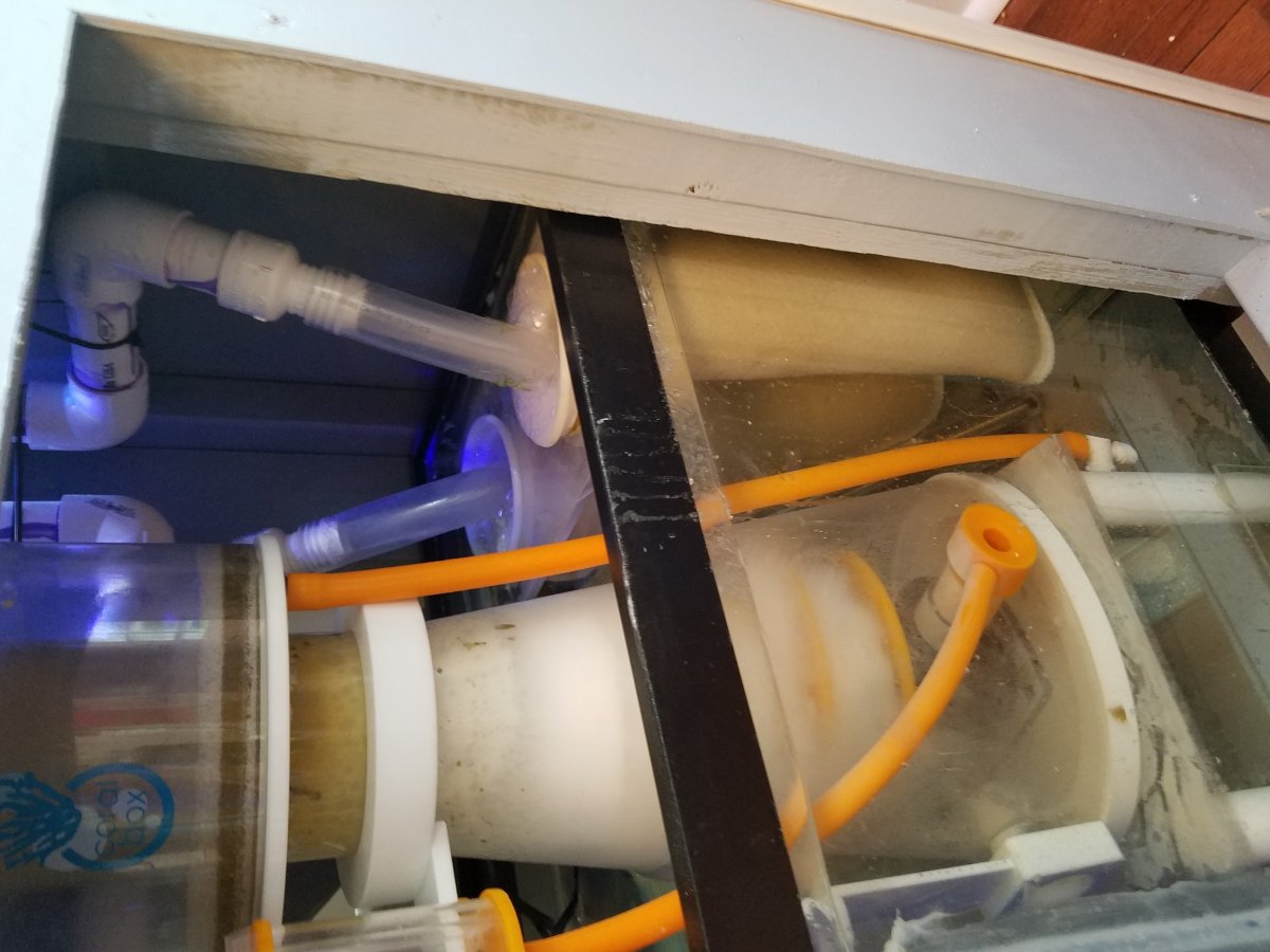 skimmer_working.jpg