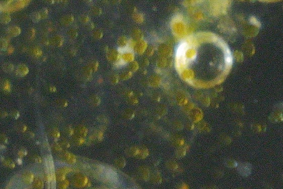 slide1.jpg