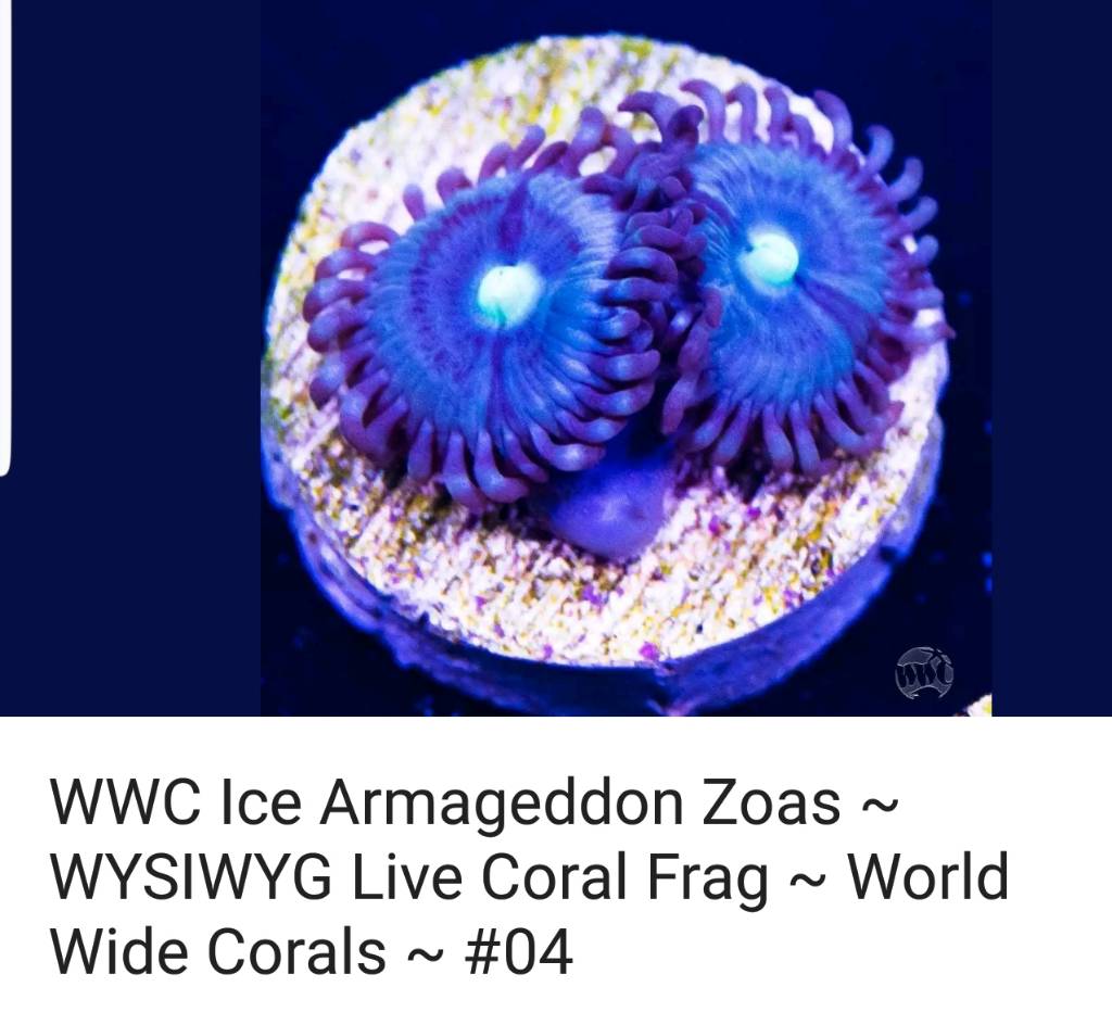 SmartSelect_20190121-133911_eBay.jpeg