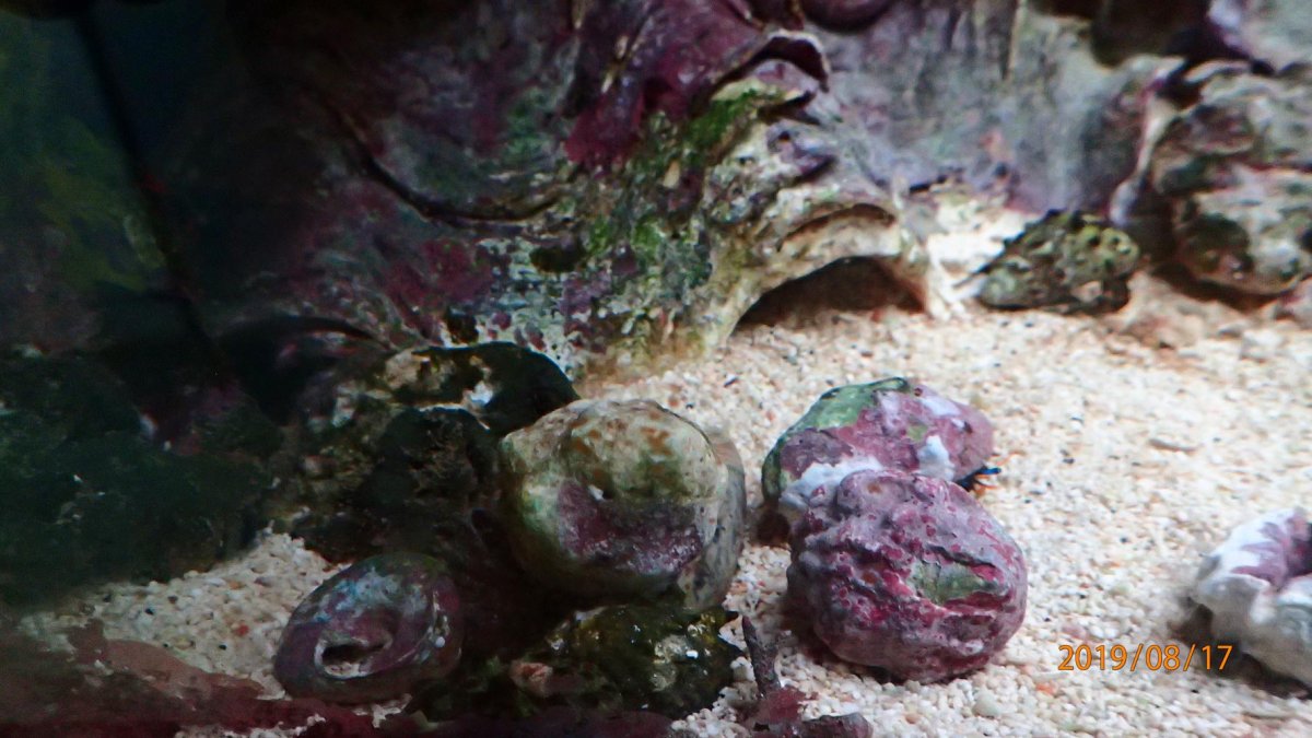 snail.jpg