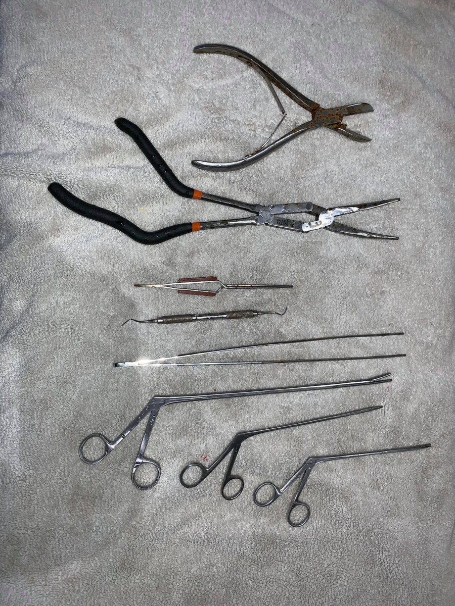 snail tools.jpg