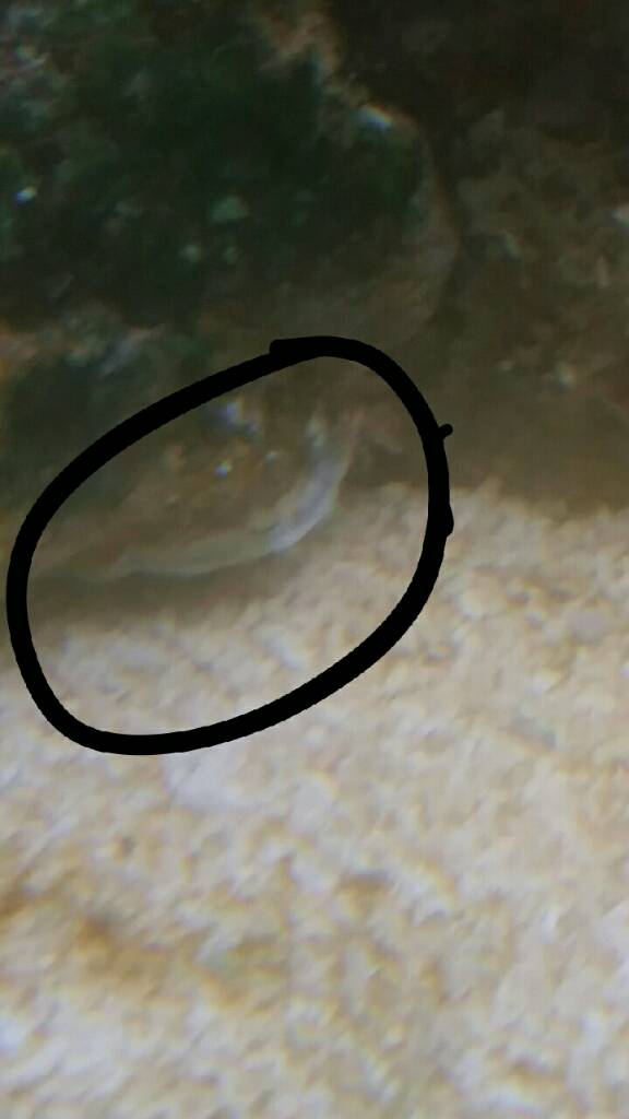 Snapchat-244817442.jpeg