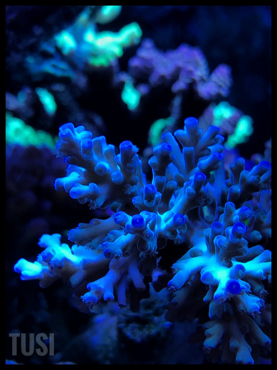 Snapseed.jpg