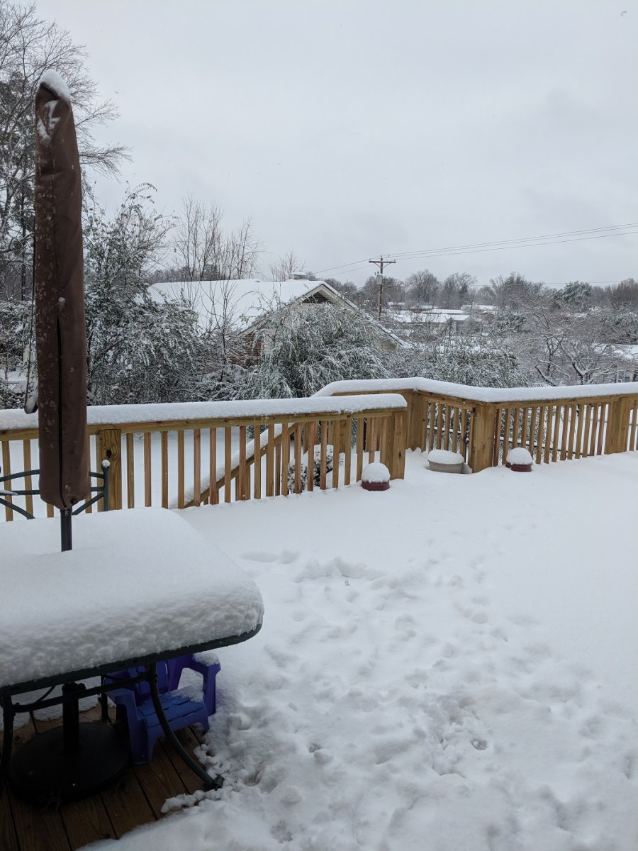 snow.jpg