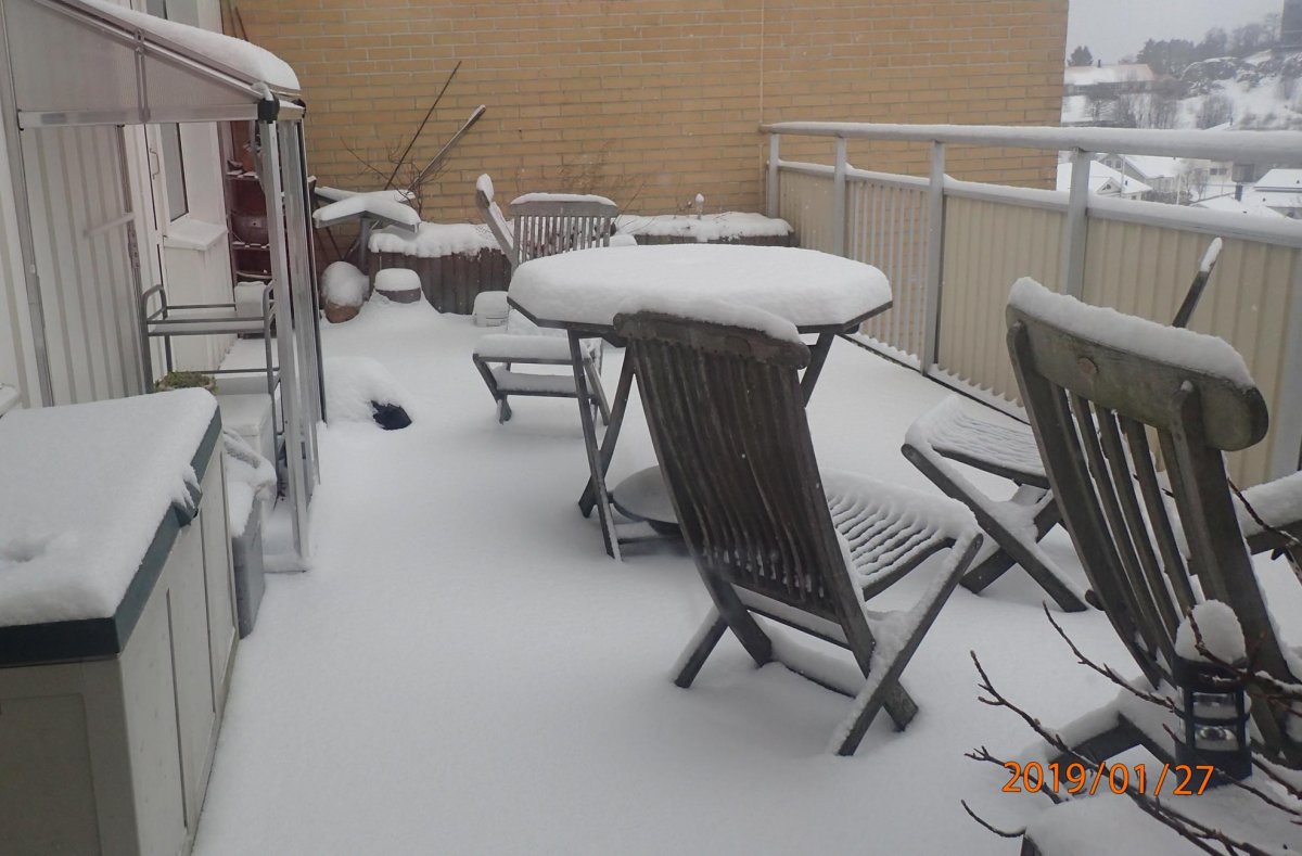 snow.jpg