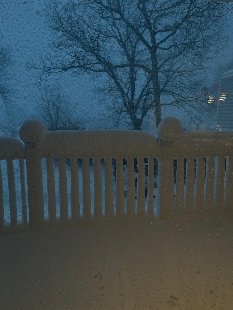 Snow on deck.jpeg