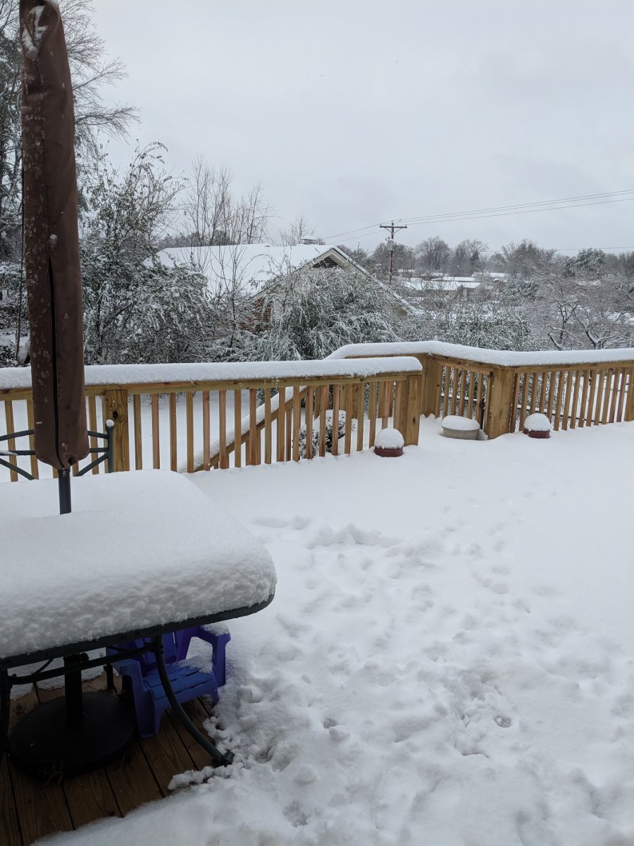 snow2.jpg