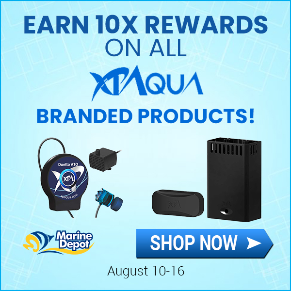 Social_10x_Rewards_XP_Aqua.jpg