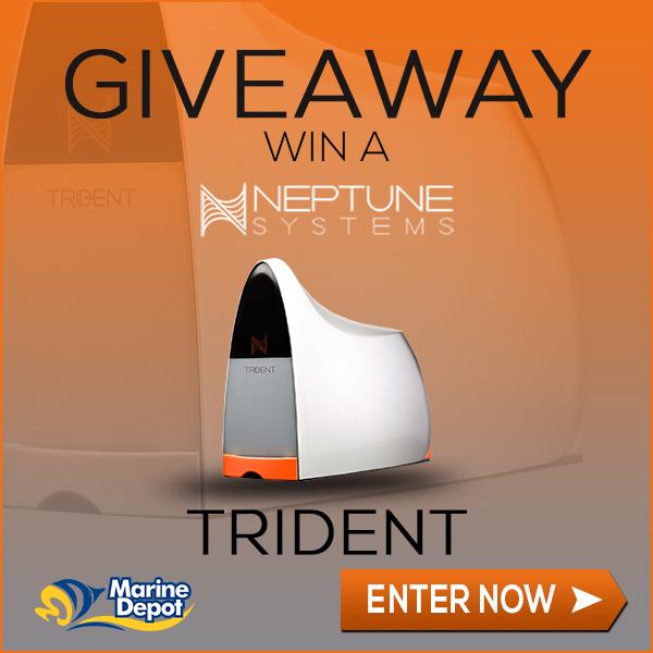 Social_Trident_Giveaway_FIXED.jpg