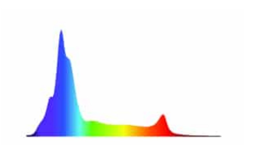 T5 question for lighting experts - coral coloration and growth; not ...
