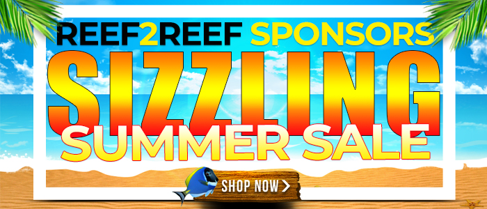 Sponsors Sizzling Summer Sales Event 700X200.jpg