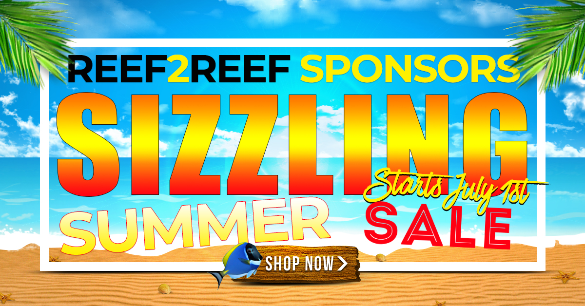Sponsors Sizzling Summer Sales Event.jpg