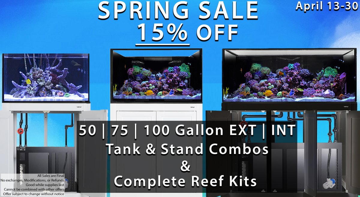 spring sale 15% 50 75 100 ext int combo and completes copy.jpg
