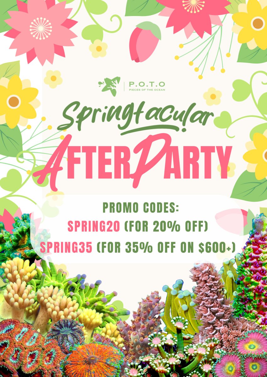 springtacular afterparty poster.jpg
