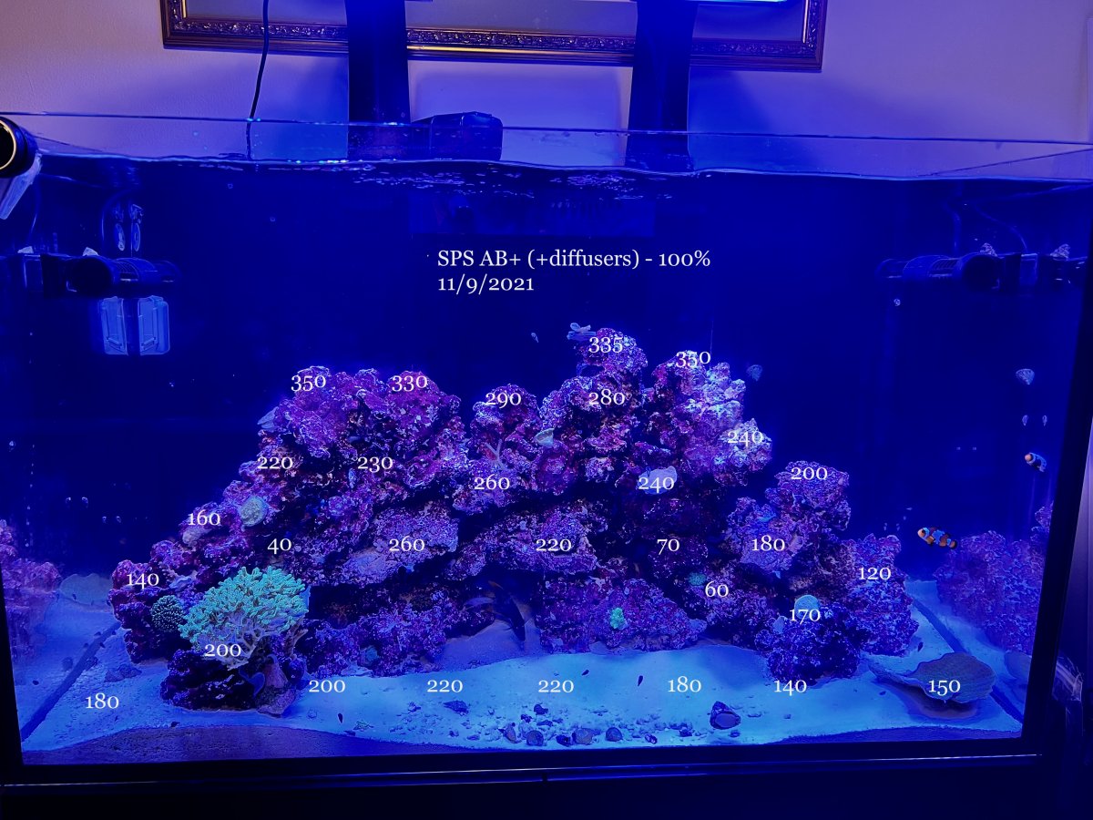 SPS AB+ 100% diffusers.jpg