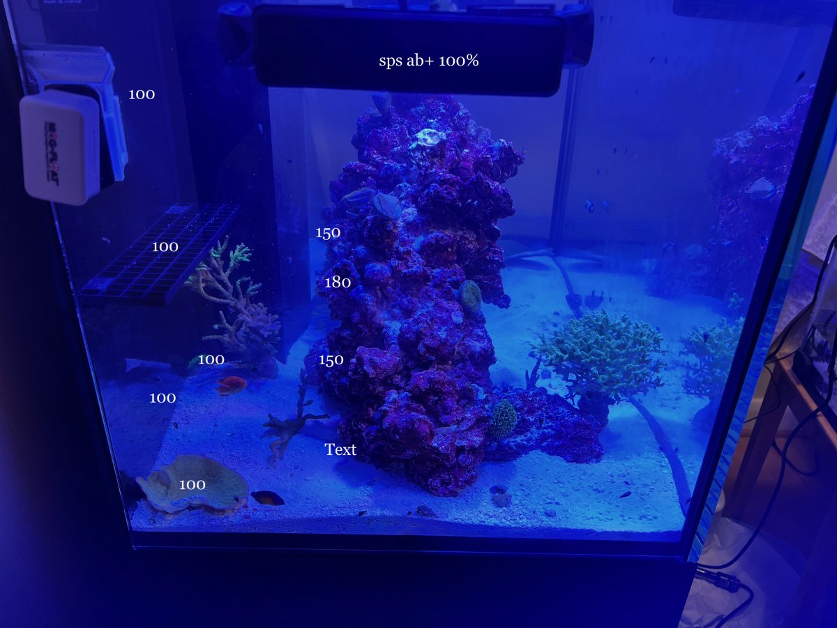 SPS AB+ 100% diffusers side view.jpg
