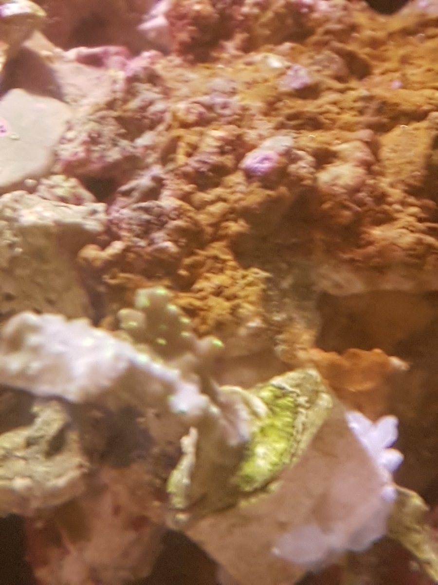 sps.jpg