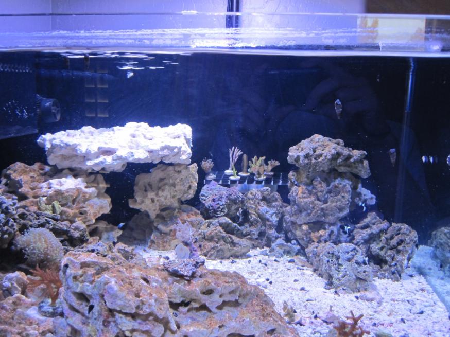 sps2.jpg