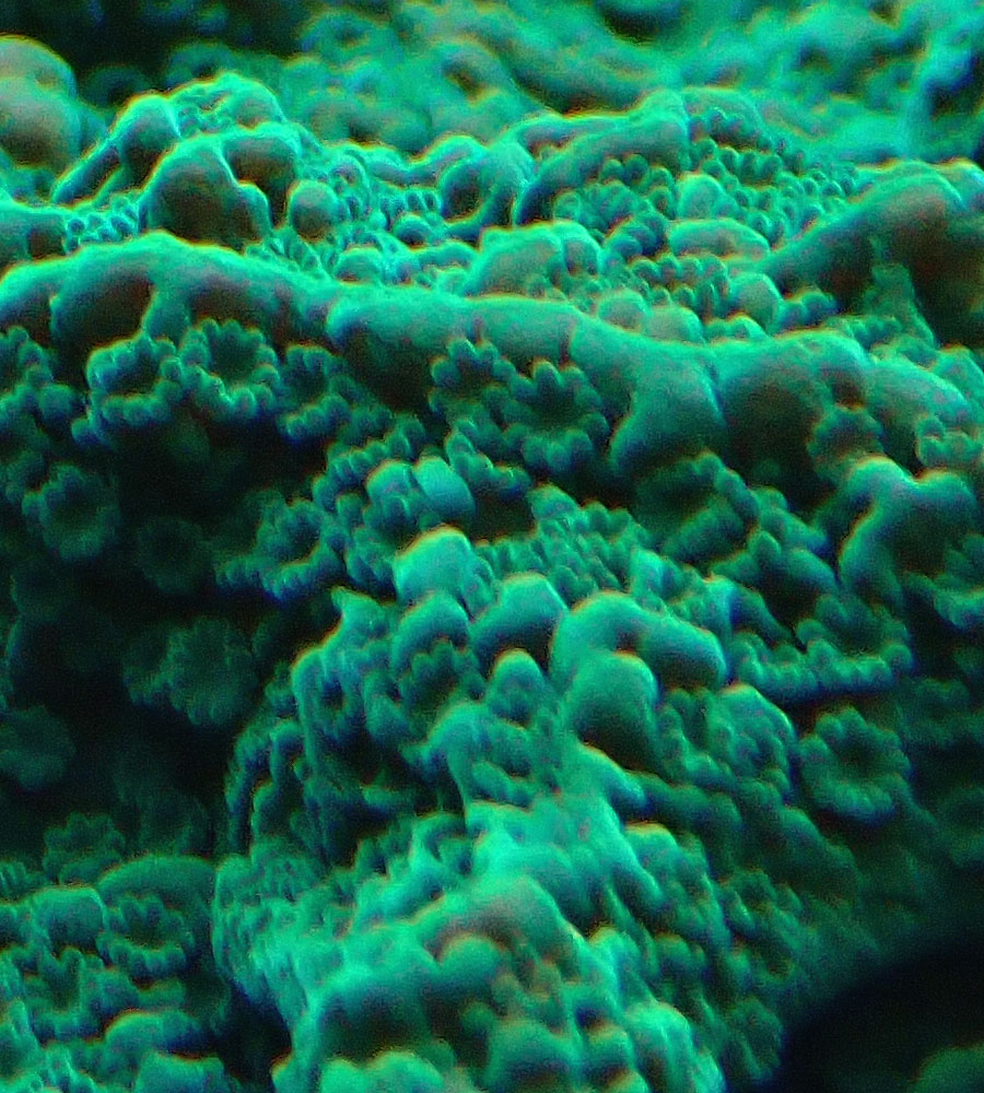 sps5.jpg