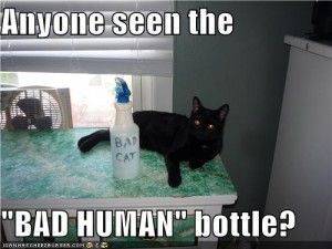 Squirt bottle training.jpg