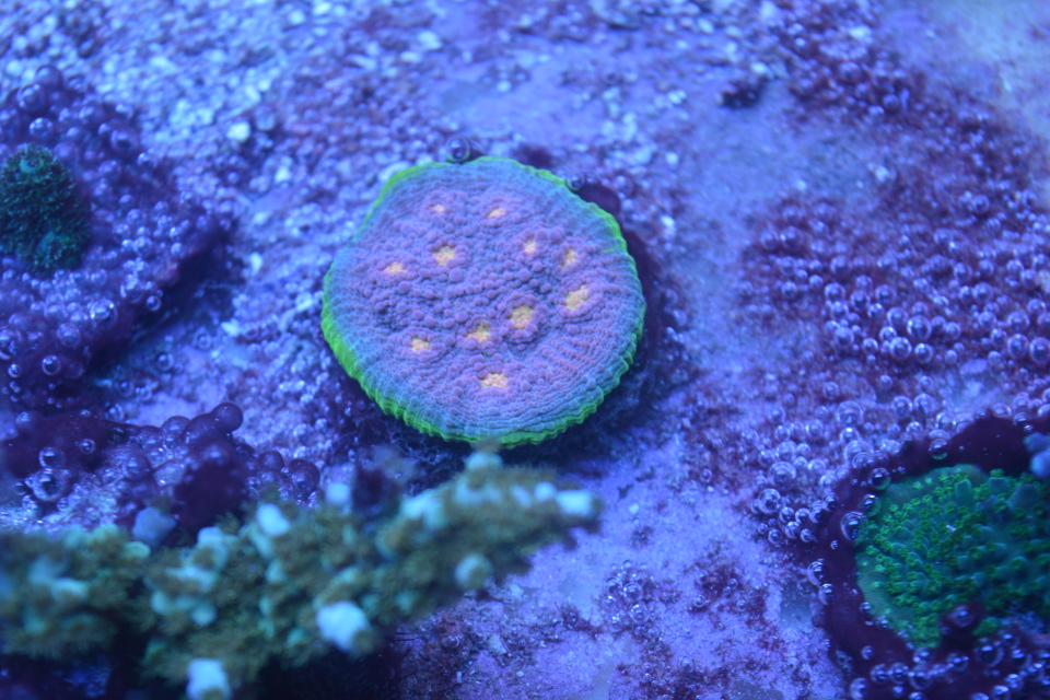 SSC_0180.JPG