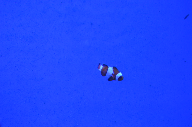 SSC_0544.JPG