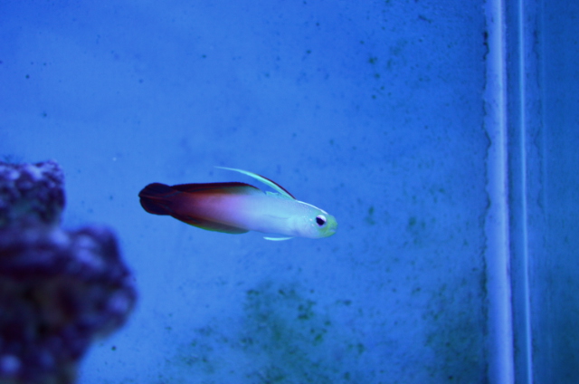 SSC_0545.JPG