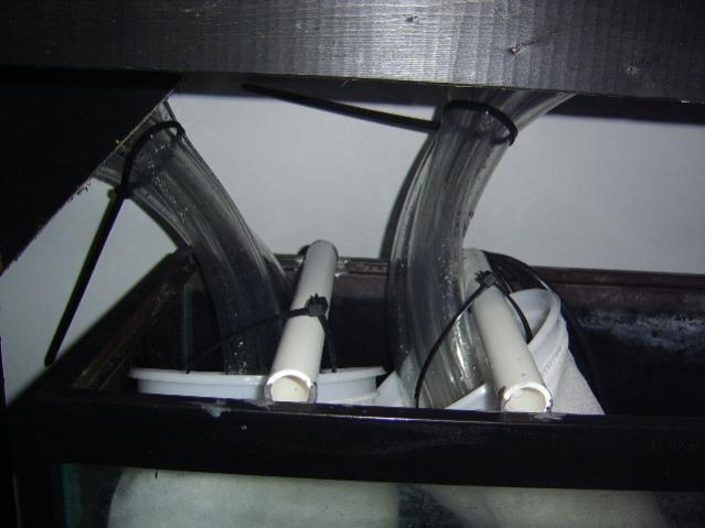 STA74428.jpg