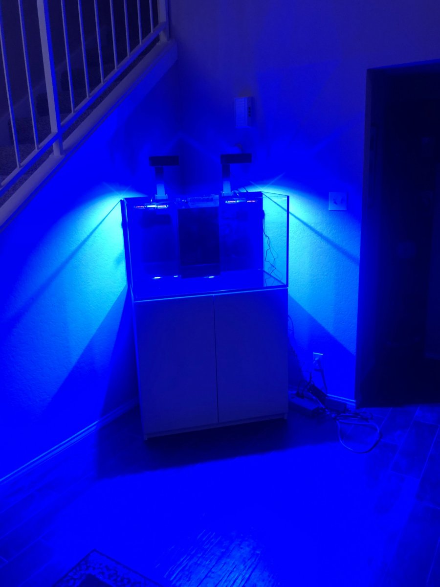 stand build 8.jpeg