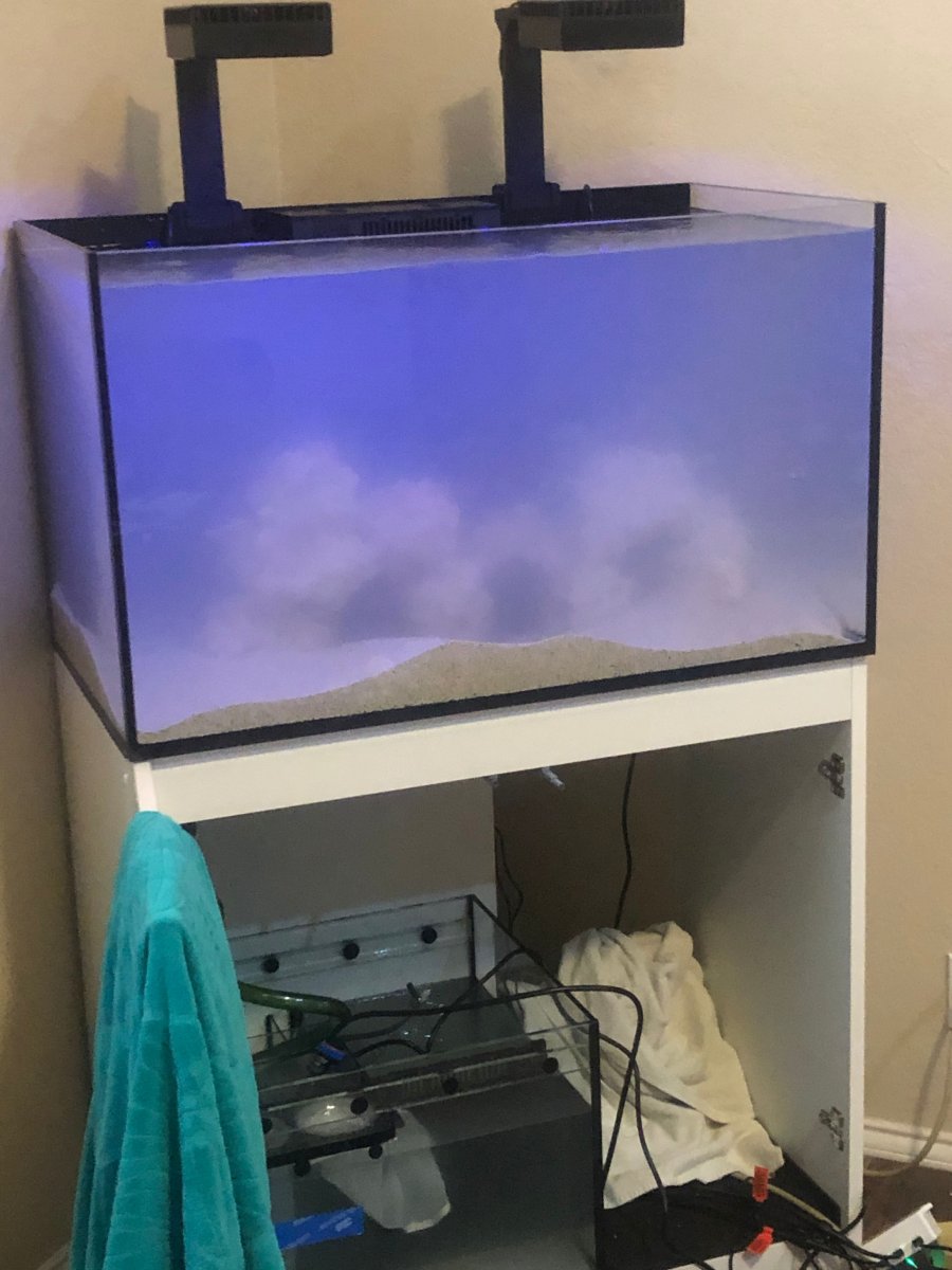 stand build wet 2.jpeg