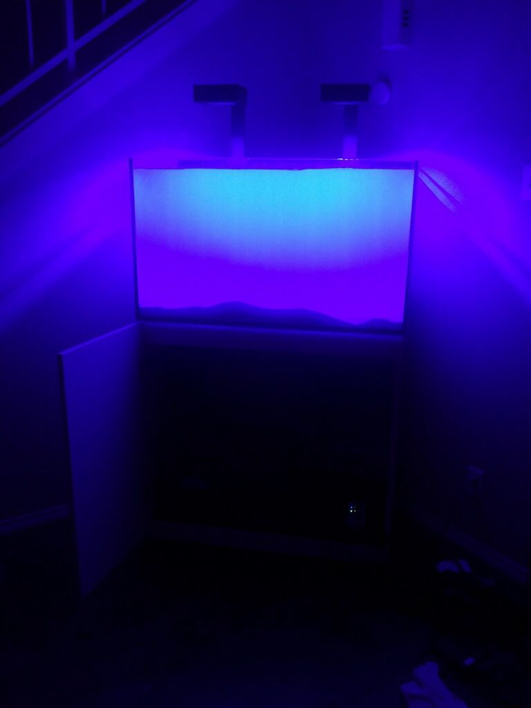 stand build wet.jpeg