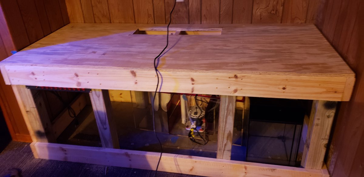Stand Built.jpg