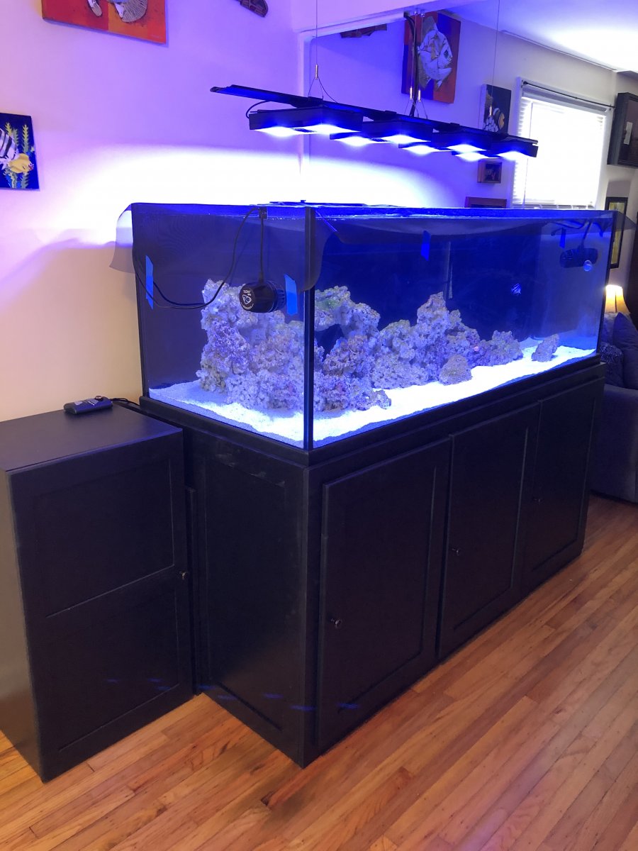 Stand3.jpg